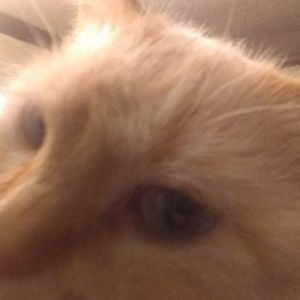 Meet your Posher, Jill